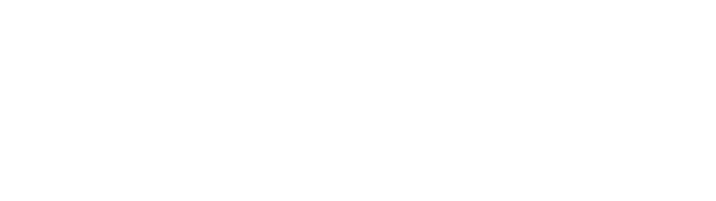 NFO Logo Horizontal White
